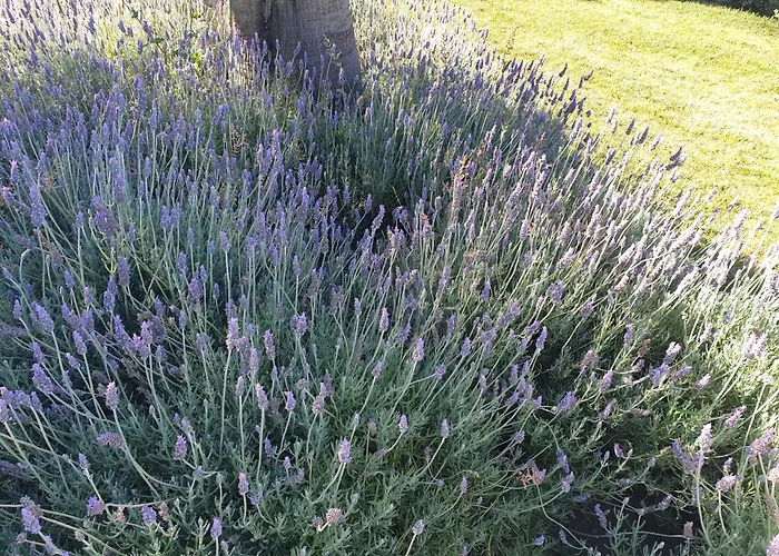 Stunning With Pool & View Near Буденш