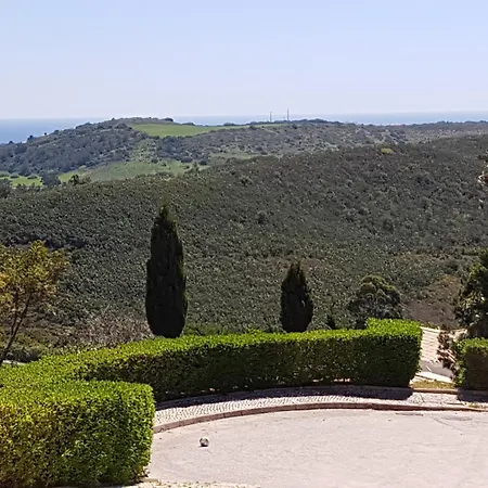 Stunning With Pool & View Near