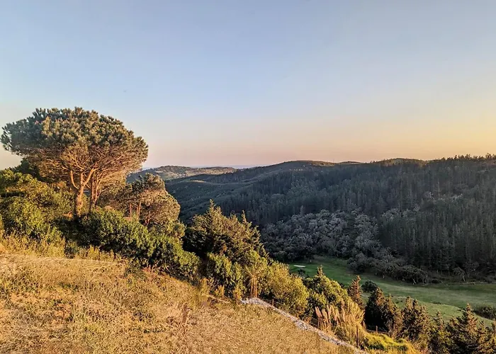 Stunning With Pool & View Near