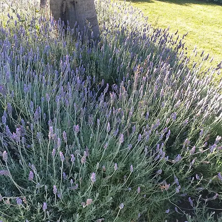 Stunning With Pool & View Near Budens