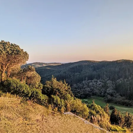 Stunning With Pool & View Near